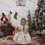 IMG 4208