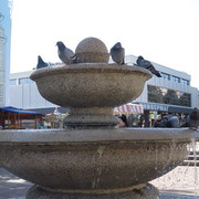 IMG_9181