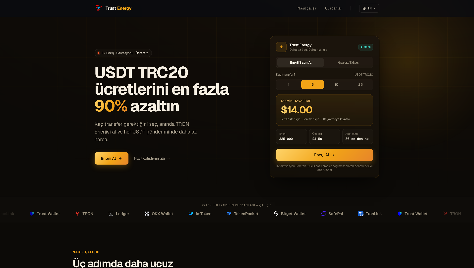 Forensic screenshot of trustenergy.store showing the phishing page layout