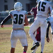 IMG-4660