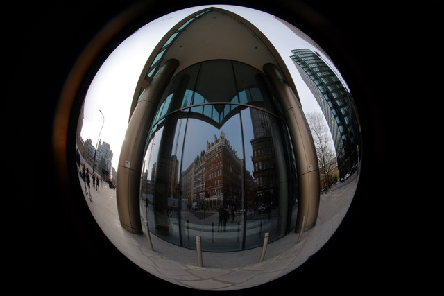 DSCF8878.jpg