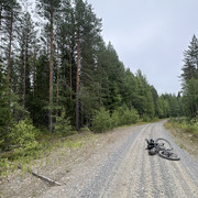 IMG 4437