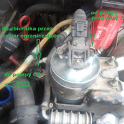 Photo1.jpg