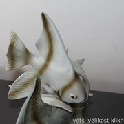 IMG-7906