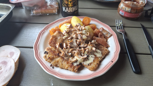 kivistonevaat