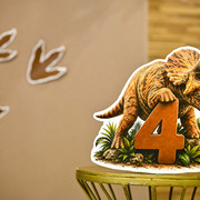 pic 51