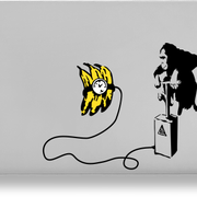 33