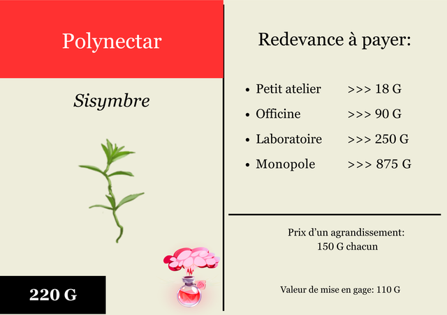 16-sisymbre
