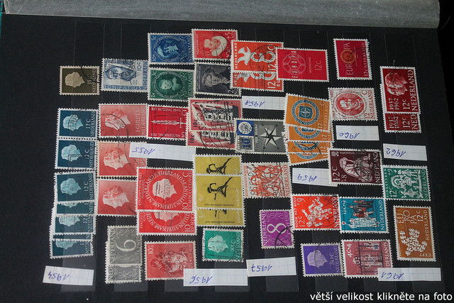 IMG-3698.jpg