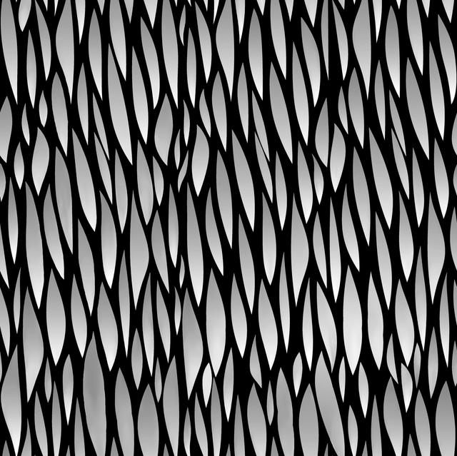 00153.png