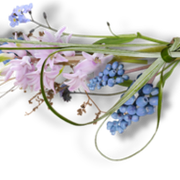 get-edited-image