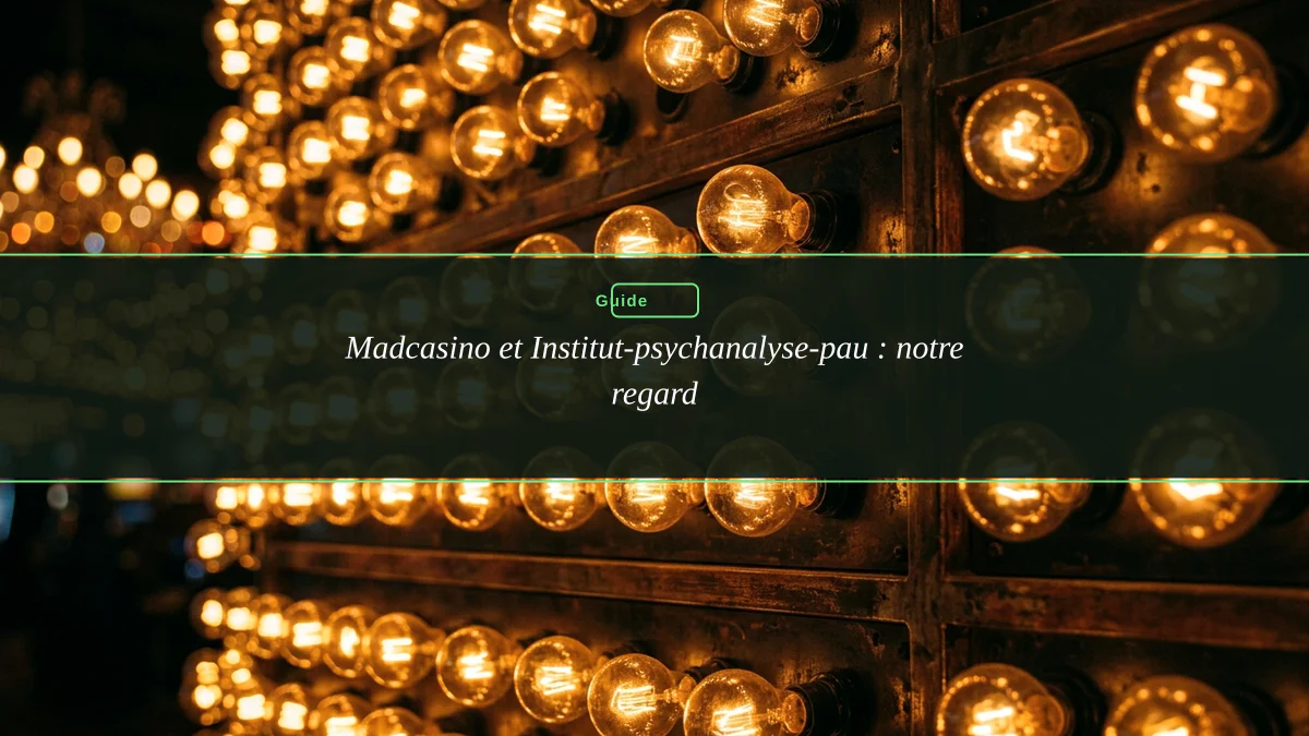 Madcasino et Institut-psychanalyse-pau : notre regard