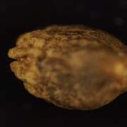 DSC01653