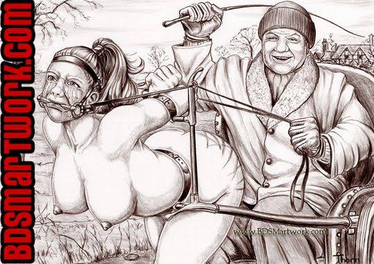 IMG 8222