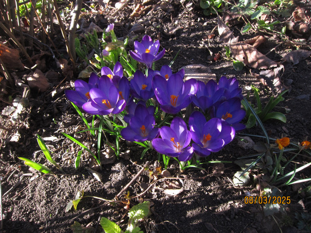 IMG-4735