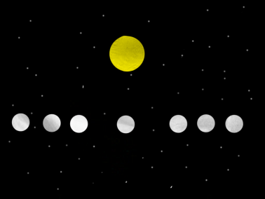 shizenkikei-213863.png