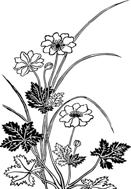 186.jpg