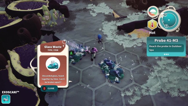 distant bloom crack