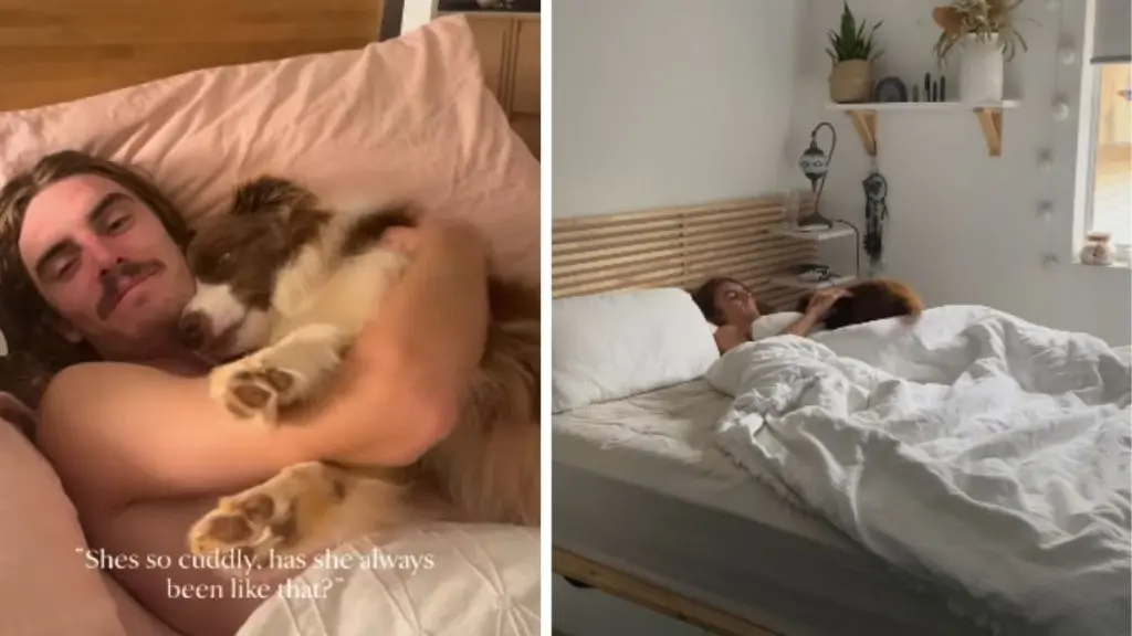 Dog Remains Loyal Cuddle Buddy