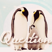 questions15