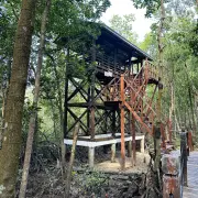 Tanjung Piai4