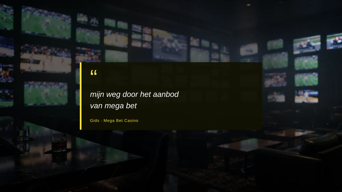 mijn weg door het aanbod van mega bet