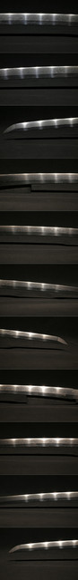 DSC0776.jpg
