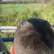 IMG-0678
