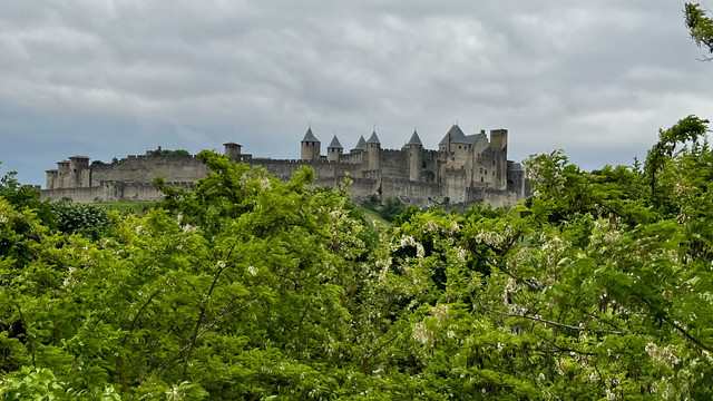 IMG 9389.jpg