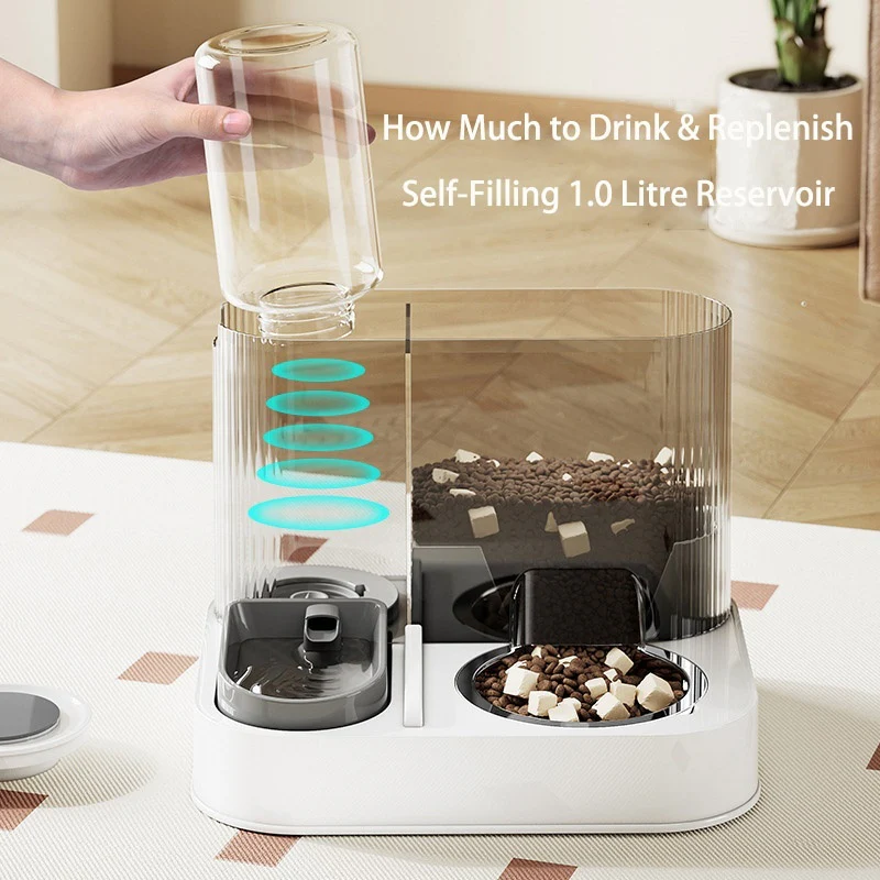 2-in-1 Automatic Pet Feeder