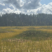IMG 4576