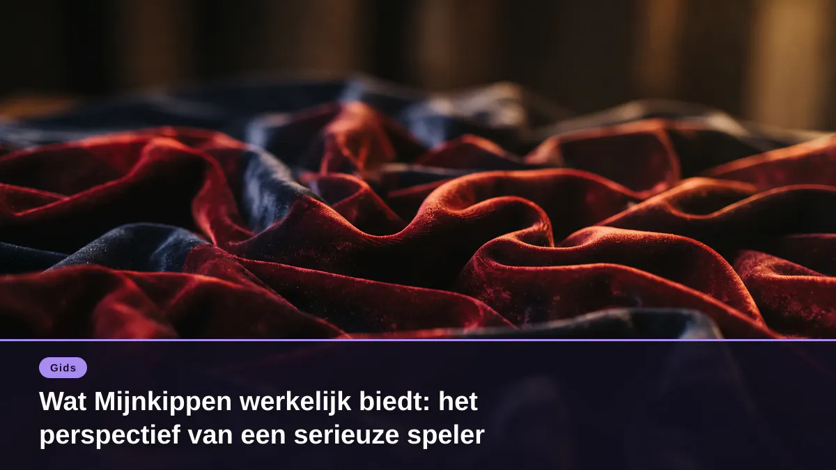 Wat Mijnkippen werkelijk biedt: het perspectief van een serieuze speler