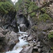 IMG 0297