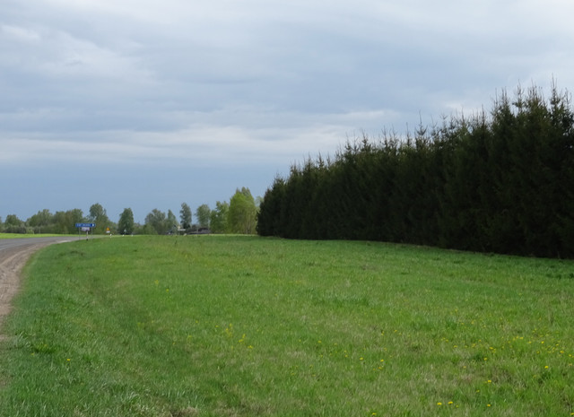 DSC02307-5.jpg