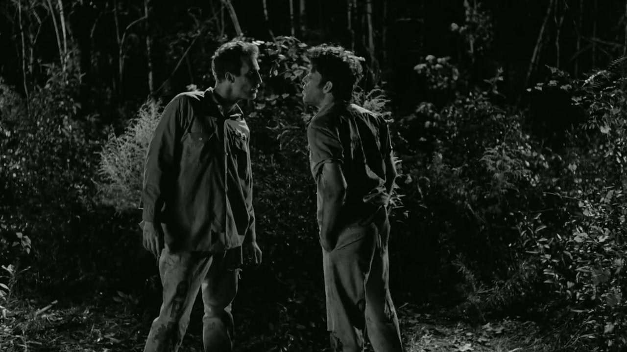 Down by Law Screenshot