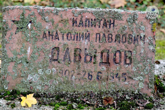 https://i.ibb.co/gbnByR0w/image.jpg