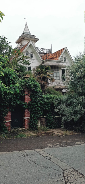IMG 20260521 133936.jpg