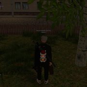 46