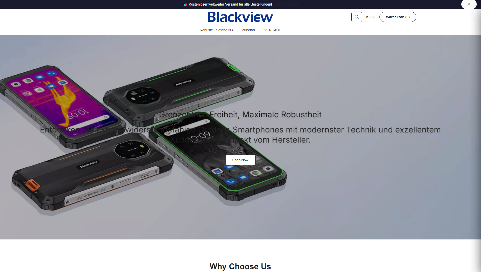 Primary capture · blackviewglobal.shop