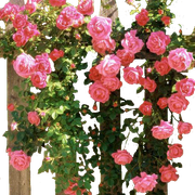 8JXyyz7