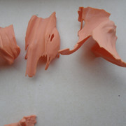 Spawn5