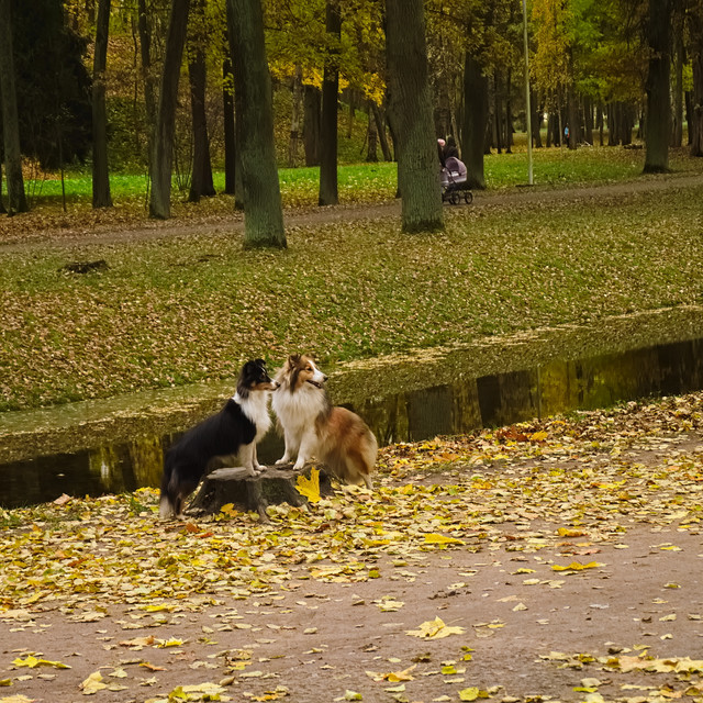DSCF1817.jpg