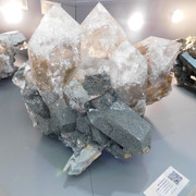 DSCN7568