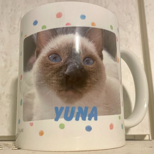 yunertasse.jpg