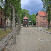 IMG-5848