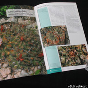 IMG-3303