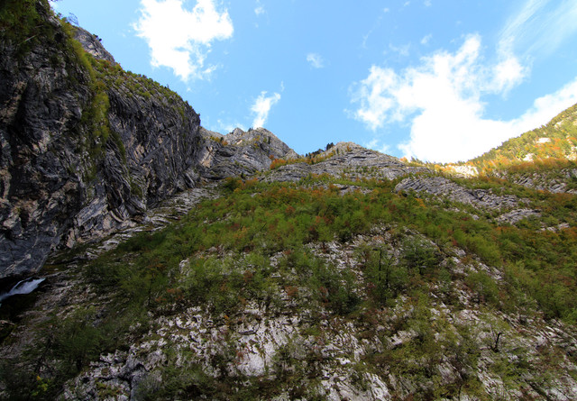 IMG-0355