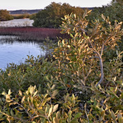 P1290090