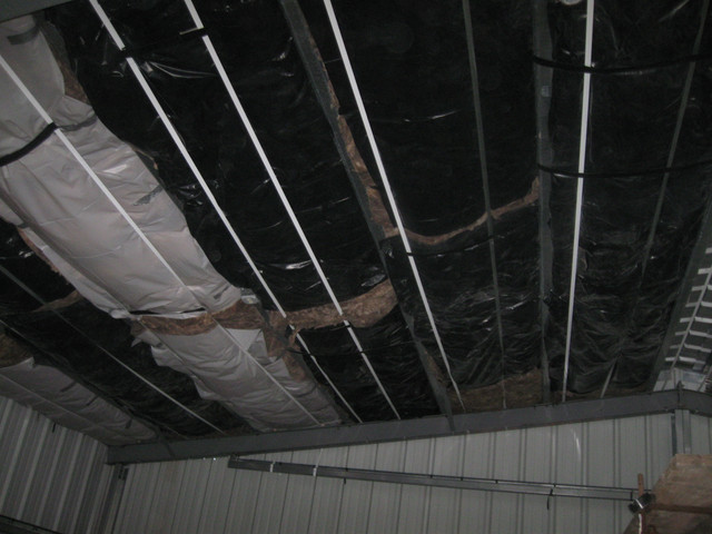 IMG-2246.jpg