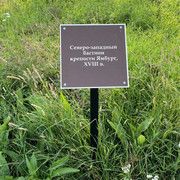 IMG-2632